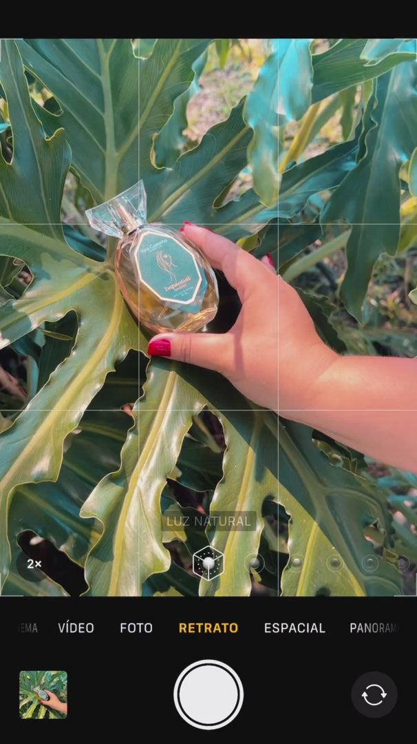 Kit Ritual Completo   Yara Castanha